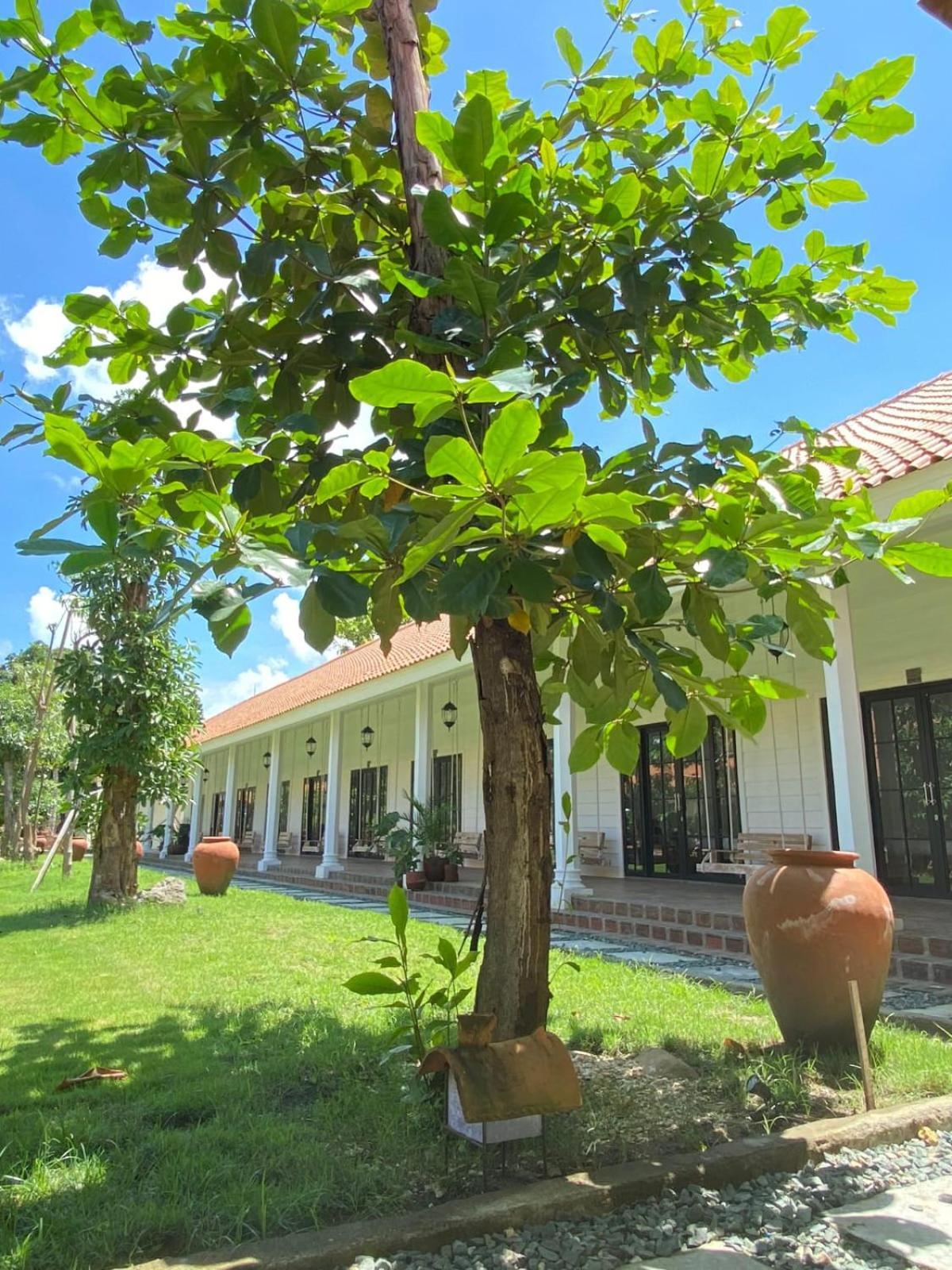 Pasir Putih Resort & Resto Maluk ภายนอก รูปภาพ
